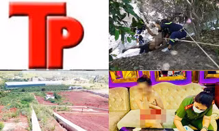 Bản tin Hình sự: Bắt quả tang tiếp viên nhảy múa khỏa thân với khách 