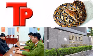 Bản tin Hình sự: Ớn lạnh lời khai của kẻ sát hại hai vợ chồng trong đêm