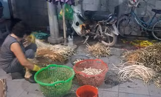 Phát hiện hàng tấn ngó sen ngâm trong hóa chất làm trắng để bán ra chợ đầu mối