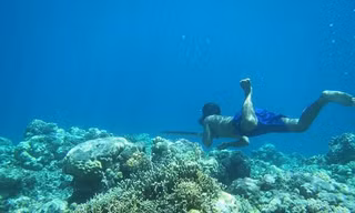 Tộc người Indonesia tiến hoá 'như cá', lặn 13 phút không cần thở