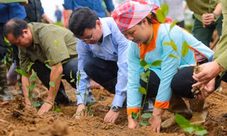 Bí thư Tỉnh ủy Lào Cai trồng chè cùng bà con Mường Khương