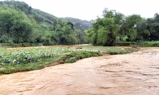 Yên Bái ứng phó với mưa lớn, lốc sét, mưa đá