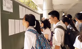 Tỷ lệ chọi lớp 10 Chuyên Sư phạm cao nhất 1/29, tăng mạnh nhất ở lớp Ngữ văn