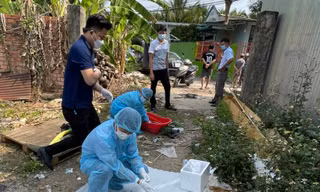 Nhân viên thú y bị chó có biểu hiện bệnh dại cắn