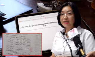 Được chọn đấu giá biển đẹp nhưng Cty đấu giá hợp danh Việt Nam tài sản chỉ vài tỷ, liên tục báo lỗ