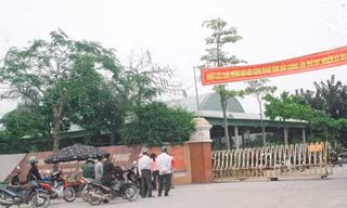 Sớm bảo hiểm xe, hỗ trợ việc làm