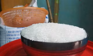 Gạo nghi giả xuất hiện ở Hà Nội