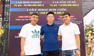 Anh em sinh đôi Bùi Hữu Thanh và Bùi Hữu Giang tham gia điều hành Công ty Đông Bắc Hải Dương vừa bị bắt.