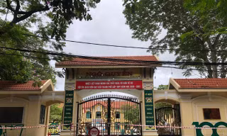 Trường THPT Ngô Quyền, TP Hải Phòng.