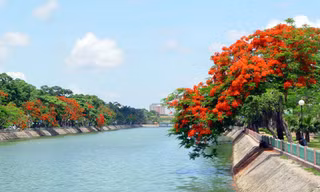 Tuyển chọn ca khúc viết về đất và người thành phố hoa phượng đỏ