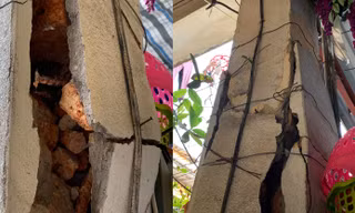 Người dân thấp thỏm sống trong khu tập thể xuống cấp nghiêm trọng ở Hải Phòng