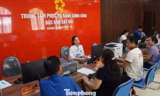 Đặc khu Cát Hải: Đột phá cải cách hành chính, tạo nền tảng phát triển bền vững