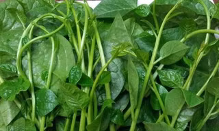 Rau mồng tơi tốt cho sinh lý đàn ông