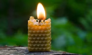 5 cách tự nhiên để làm sạch không khí tại nhà