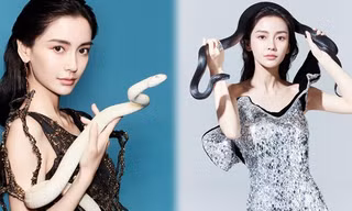 Angelababy táo bạo chụp ảnh với rắn