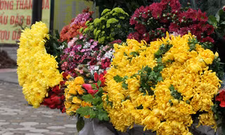 10 loại hoa thường cắm trong gia đình xứ Bắc ngày Tết
