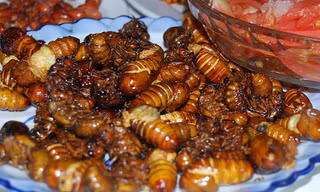 Món ngon bài thuốc từ ve sầu