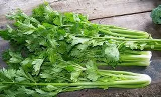 Công dụng tuyệt vời của cần tây 