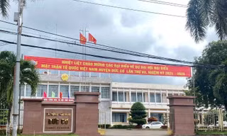 Bản tin 8H: Phát ngôn vu khống, trưởng phòng bị kỷ luật xuống làm nhân viên