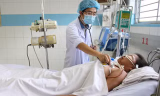 TPHCM đã có 9 ca tử vong do sốt xuất huyết