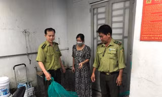 Kỳ đà hoa quý hiếm nặng gần 4,5kg bò vào nhà dân ở TPHCM 