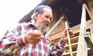 Đàn sáo đại ngàn