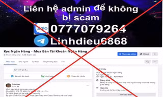 Thuê học sinh mở tài khoản ngân hàng để lừa đảo 