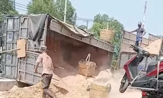 Xe tải chở mùn cưa lật ngang trên quốc lộ