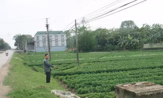 Khu đất ven tỉnh lộ 296 có nhiều sổ đỏ cùng lúc