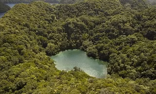 Hồ sứa nước mặn tuyệt đẹp ở Palau