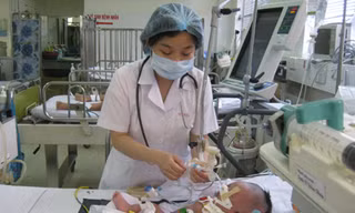 Mang họa vì 'bà đỡ vườn'
