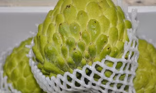 Xem quả na nặng hơn 1kg được bày bán tại Lạng Sơn