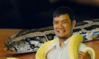  Uống cà phê với trăn và kỳ đà ở Sài Gòn