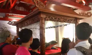 Tiêu bản cụ rùa Hồ Gươm cuối cùng thu hút người dân Thủ đô