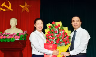 Ban Bí thư Trung ương Đảng chuẩn y nhân sự mới