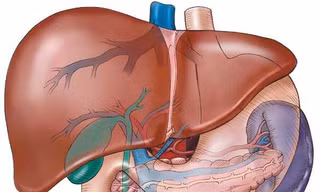 Các yếu tố làm tăng nguy cơ mắc ung thư gan