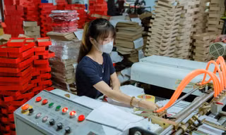 Nosava - Thương hiệu đột phá trong ngành công nghiệp bao bì