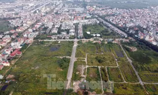 Quy định mới về giá đất: Các tỉnh phải phê duyệt giá trong 90 ngày