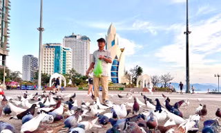 'Bảo mẫu' nuôi chim bồ câu ở Quảng trường 2/4 Nha Trang