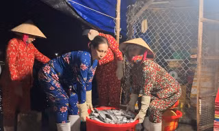 Tảo tần mưu sinh nơi cảng cá