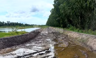 Sân đua bò 'chui' 20.000m2 trên đất nông nghiệp được xử lý như nào?