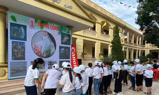 Giúp học sinh học cách bảo vệ môi trường từ những hành động nhỏ