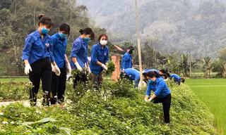 Tuổi trẻ Tuyên Quang thực hiện hàng trăm công trình, phần việc thanh niên