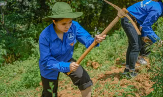 Ban Bí thư Trung ương Đoàn yêu cầu thực hiện nghiêm an ninh, an toàn hoạt động tình nguyện