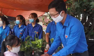 Đổi rác thải tái chế lấy cây xanh