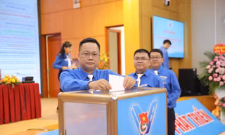 Anh Trần Tuấn Anh làm Bí thư Đoàn Thanh niên Văn phòng Trung ương Đảng 