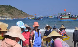 Đầu năm, ngư dân trúng đậm mẻ cá cơm