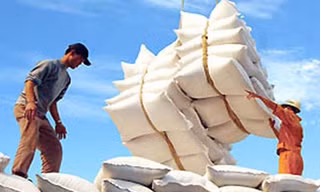 Mở thêm nhiều thị trường xuất khẩu gạo