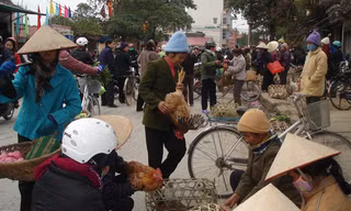 Buôn bán gia cầm ở Lạng Sơn. Ảnh: Duy Chiến