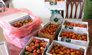 Tang vật bị thu giữ